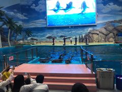 -福州罗源湾海洋世界旅游区