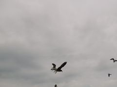 -海驴岛(荣成市)