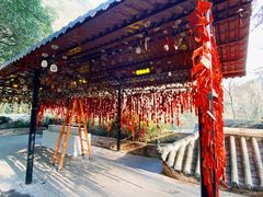 -黔灵山公园