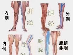 -裕和堂中医推拿艾灸(太古汇臻品店)