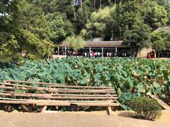 -韶山毛泽东同志故居