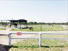 -上海杨姆庄园