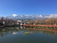 -才村湿地公园