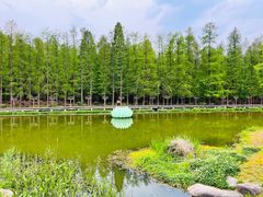 -青山湖景区