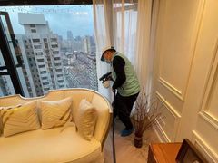 -Liteclear日本进口强效除甲醛检测治理(旗舰店)