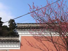 -东钱湖旅游度假区