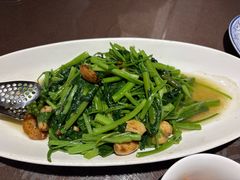 -福来齐·鲁菜海鲜·渔家菜(朝阳街分店)