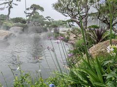 -罗红摄影艺术馆