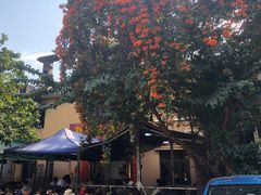 -光明刘冰乳鸽店(光明法政北路店)