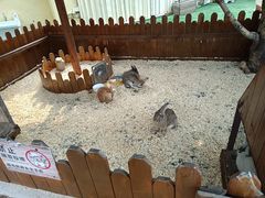 -HERRE·FARM 赫尔露营农场·团建聚会包场