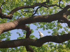 -青藤茶馆(凤起路店)
