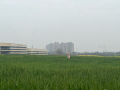 -三圣花乡旅游区