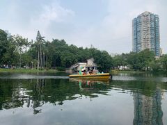 -晓港公园