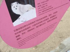 -无锡动物园·太湖欢乐园