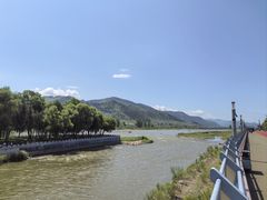 -江心岛