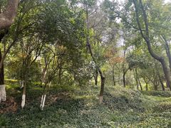 -北极阁公园