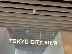 -六本木新城展望台(东京城市景观)
