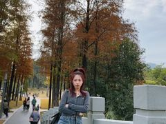 -四海公园(南山区)