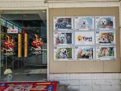 -翊宠yipet猫狗购宠庄园犬舍•猫舍