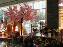 -卓锦曼购中心(国香街店)
