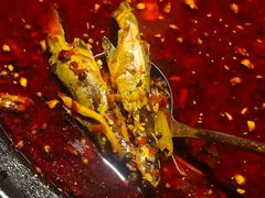 -小饕荟雅安贡椒鱼鲜馆(广福桥店)