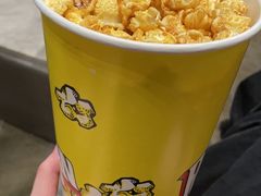 -金逸影城(广州海珠城激光IMAX店)