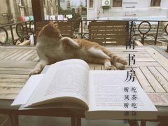 iphone_upload_pic-二楼南书房