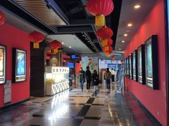 -万达影城(锦华万达广场IMAX店)