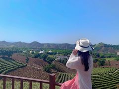 -帐篷客·溪龙茶谷度假酒店