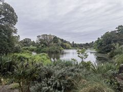 -墨尔本皇家植物园