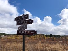 -塞罕坝国家级自然保护区