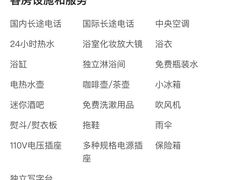 -成都泰合国际大饭店(春熙路太古里店)