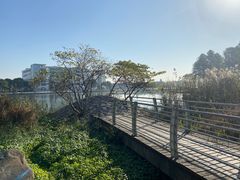 -美兰湖景区