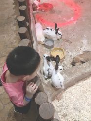 -宝燕乐园(闵行旗舰店)