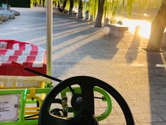 -济南国际园博园