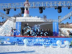 -蓟洲国际滑雪场