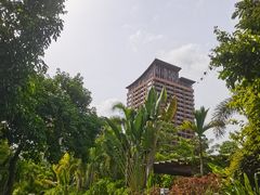 -三亚湾红树林度假世界(木棉酒店)