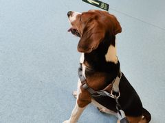 -萌兽医馆·犬猫专科·眼科中心·宠物医院(朝阳门分院)