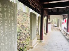 -仙霞关景区