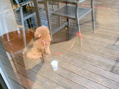 露天位-自在弥林花园餐厅(云栖店)