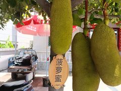 -三亚西岛海洋文化旅游区