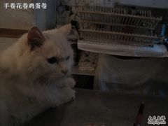 -Babycat私家御饼屋(龙头路一店)