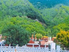 -五台山风景区