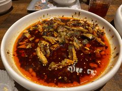 -铁公鸡·四川料理(天环广场店)