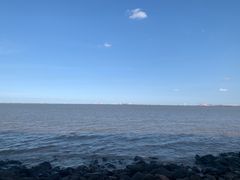 -上海吴淞炮台湾国家湿地公园