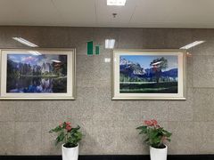 -北京协和医院(东单院区)
