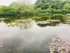-白马涧龙池景区