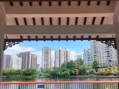 -四海公园(南山区)