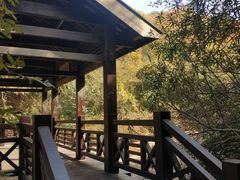 -白马涧龙池景区