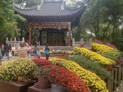 -汇龙潭